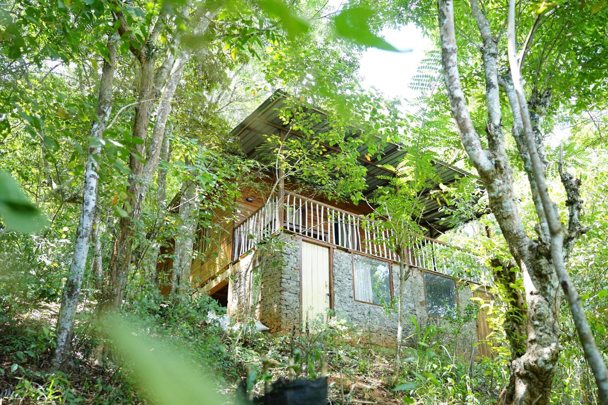 Polwaththa Eco Lodges Digana Exterior photo