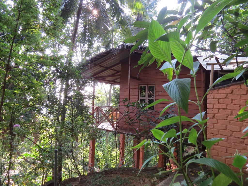 Polwaththa Eco Lodges Digana Exterior photo