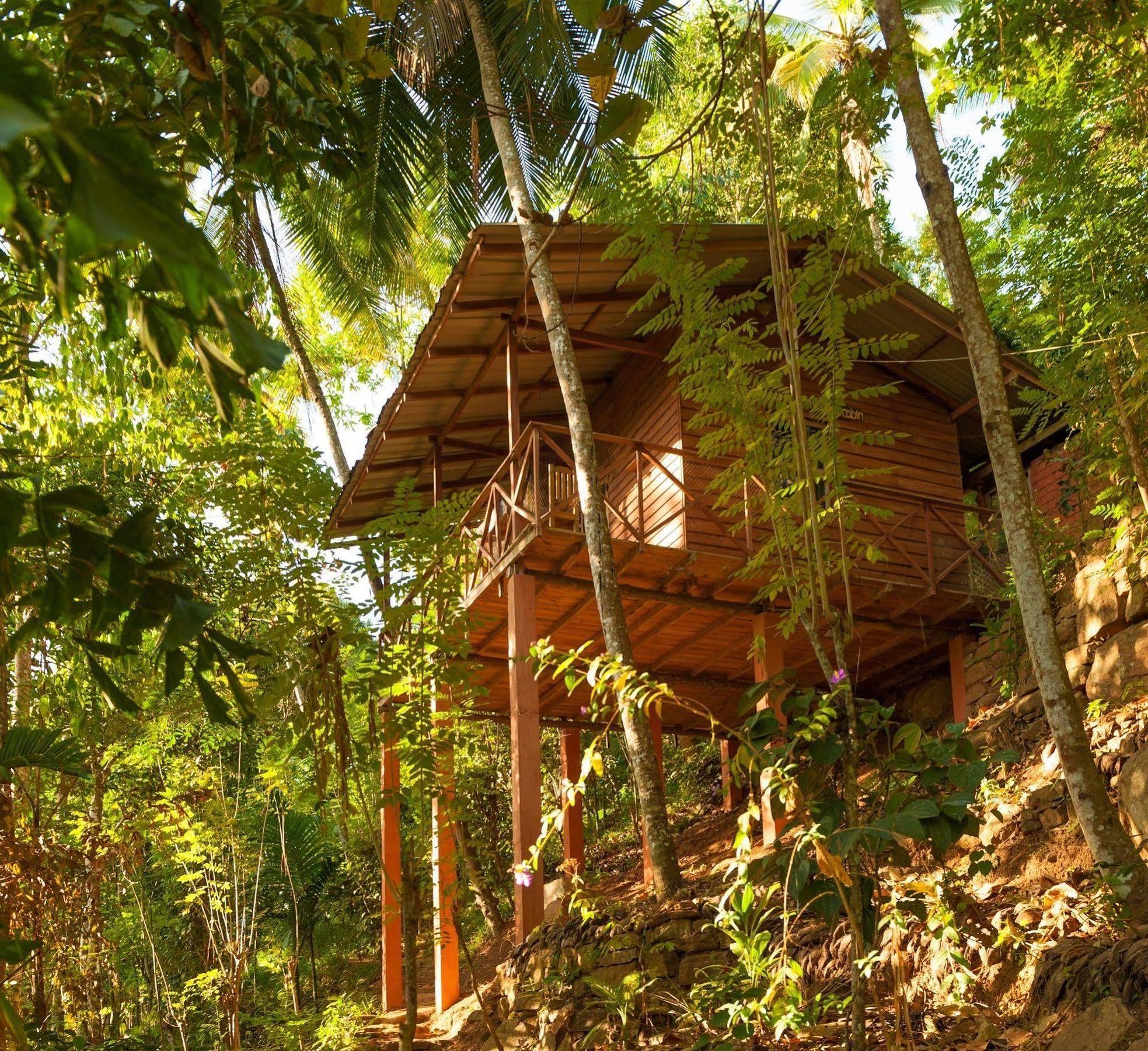 Polwaththa Eco Lodges Digana Exterior photo