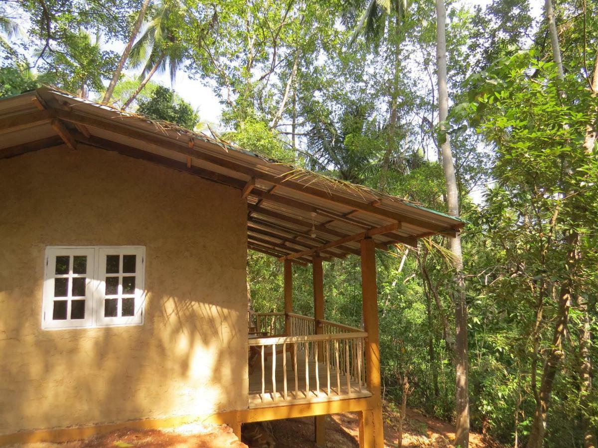 Polwaththa Eco Lodges Digana Exterior photo